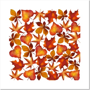 Autumn leaves Posters and Art